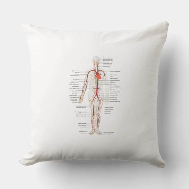 Throw Pillow Human Circulatory System of Arteries (Front)
