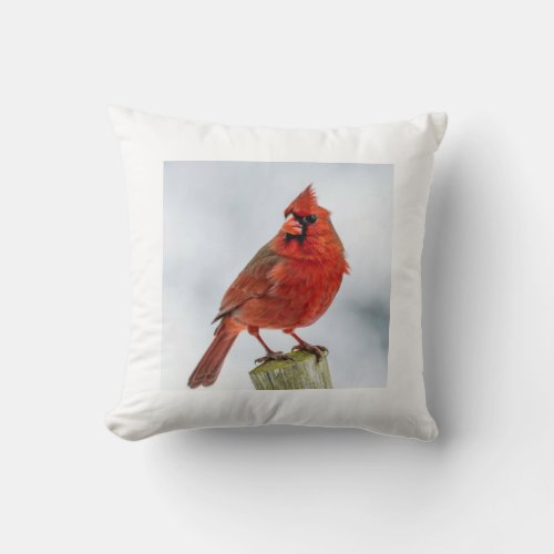 throw pillow with redbird