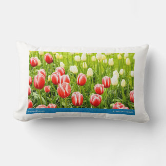 Throw Pillows flower