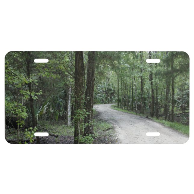 Thru the Florida Woods License Plate (Front)