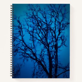 Thru The Glass, Weeping Tree Blue Abstract Art