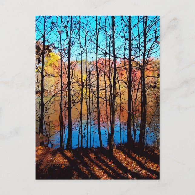 Thru Trees Postcard (Front)