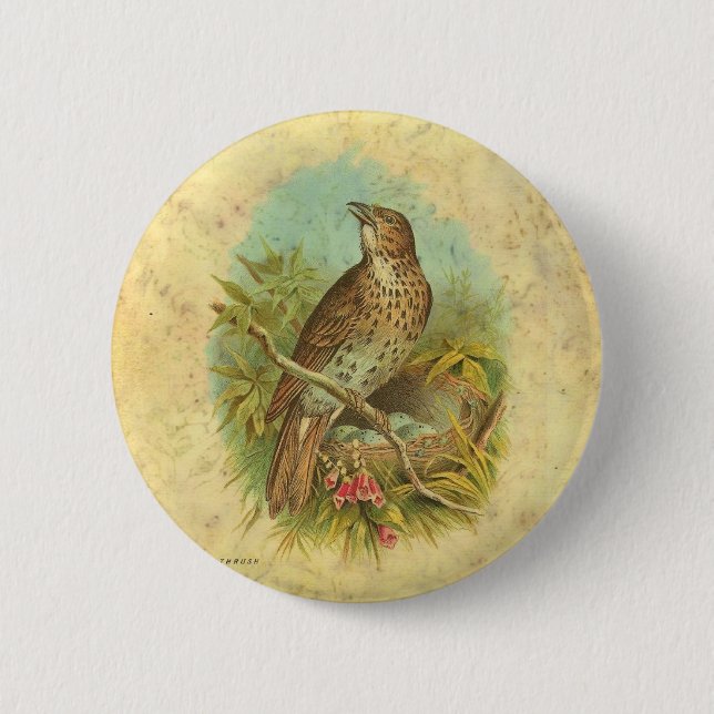 Thrush Vintage Button (Front)