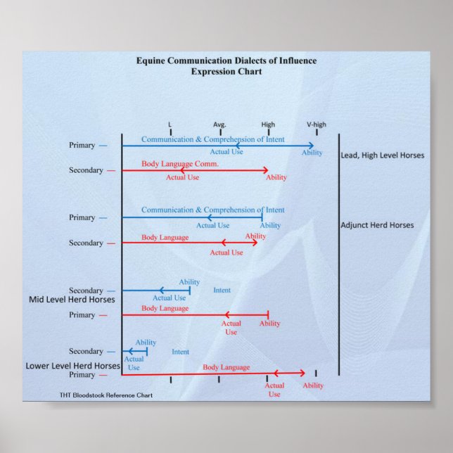 THTBloodstock Equine Communication Chart (Front)