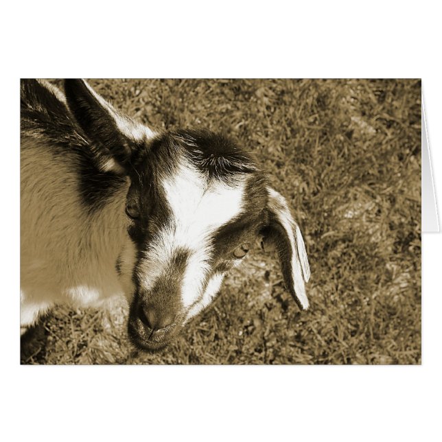 Thumblina (Front Horizontal)