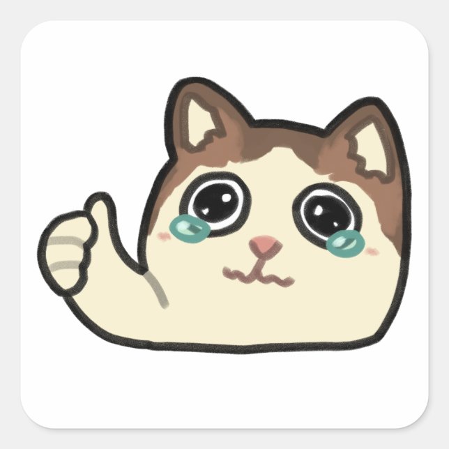 thumbs up crying cat square sticker (Front)