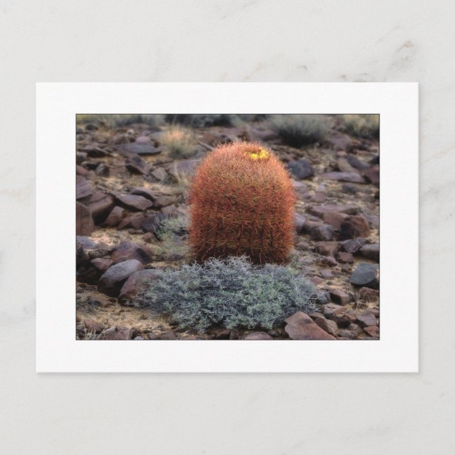 "Thumbs Up" Postcard (Front)