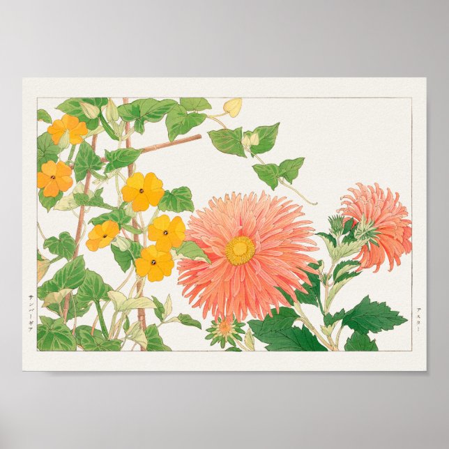 Thunbergia, China aster by Tanigami Konan Poster (Front)
