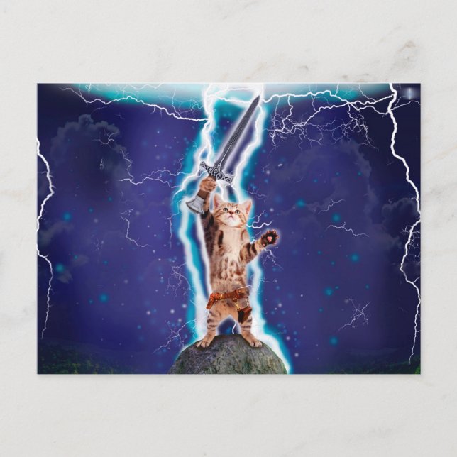 Thunder warrior cat postcard (Front)