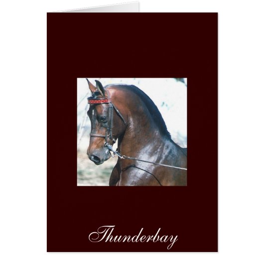 Thunderbay Cards (Front)