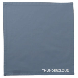 Thundercloud Blue-gray Color Name Cloth Napkin
