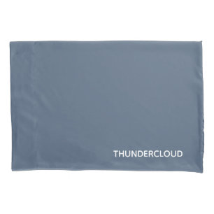 Thundercloud Blue-gray Color Name Pillow Case