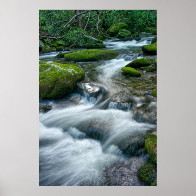 Thunderhead Prong 16 Poster (Front)