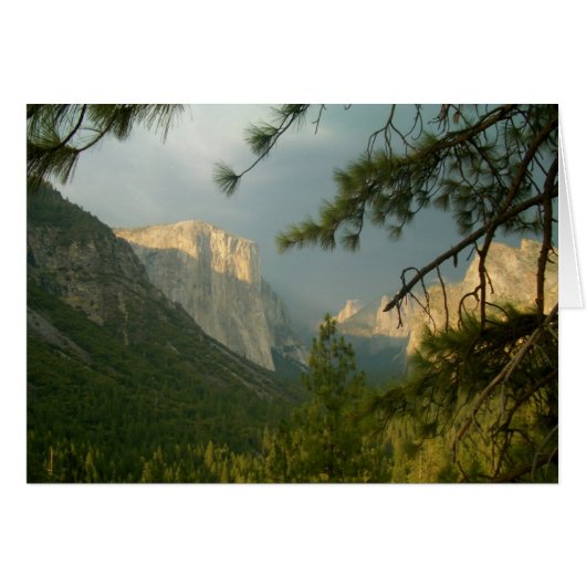 Thunderstorm over Yosemite Valley Cards (Front Horizontal)