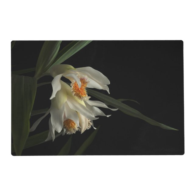 Thunia Marshalliana Placemat (Front)