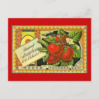 Thurber Strawberries Vintage Crate Label Vintage Postcard