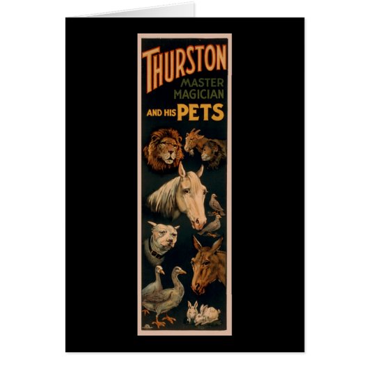 Thurston master magician and his pets (Front)