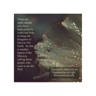 Thus speaks Maitreya Wood Wall Art