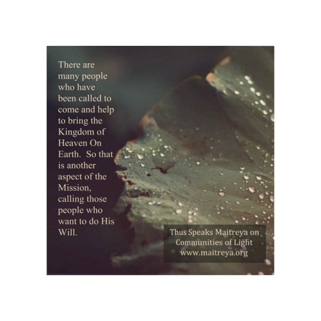 Thus speaks Maitreya Wood Wall Art (Front)