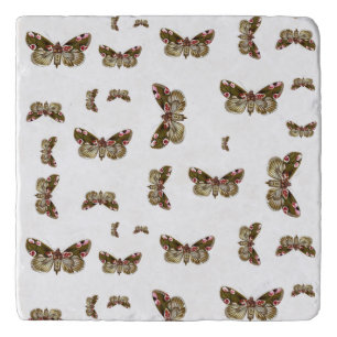 Thyatira batis - The Peach Blossom Moth Trivet