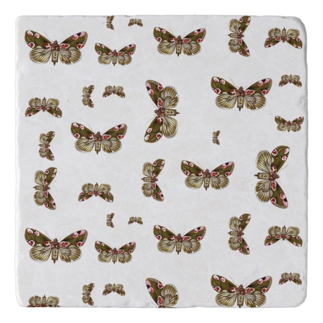 Thyatira batis - The Peach Blossom Moth Trivet (Front)