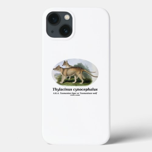 Thylacinus cynocephalus Tasmanian tiger or wolf iPhone 13 Case