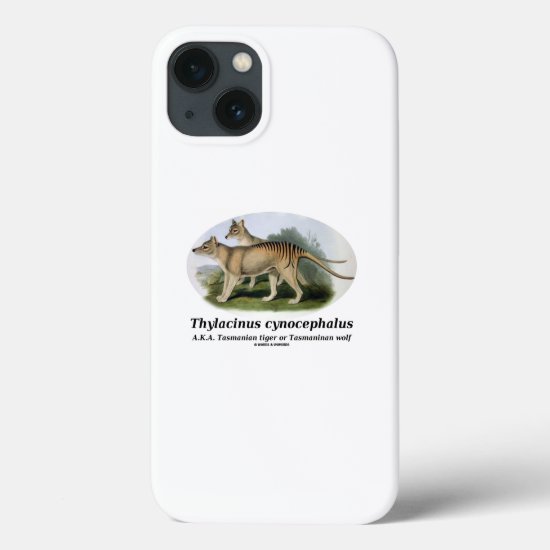 Thylacinus cynocephalus (Tasmanian tiger or wolf) iPhone 13 Case