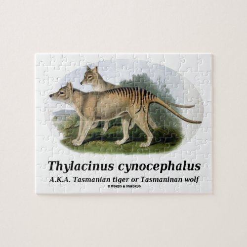 Thylacinus cynocephalus Tasmanian tiger or wolf Jigsaw Puzzle