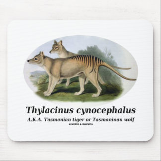 Thylacinus cynocephalus (Tasmanian tiger or wolf) Mouse Pad