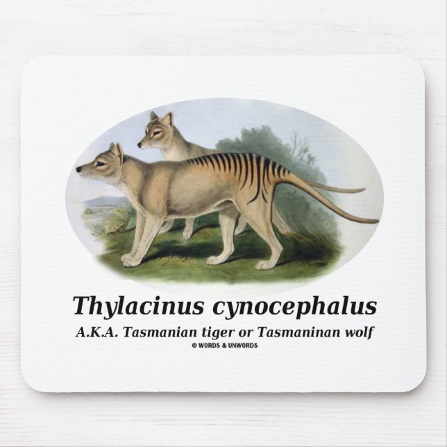 Thylacinus cynocephalus (Tasmanian tiger or wolf) Mouse Pad (Front)