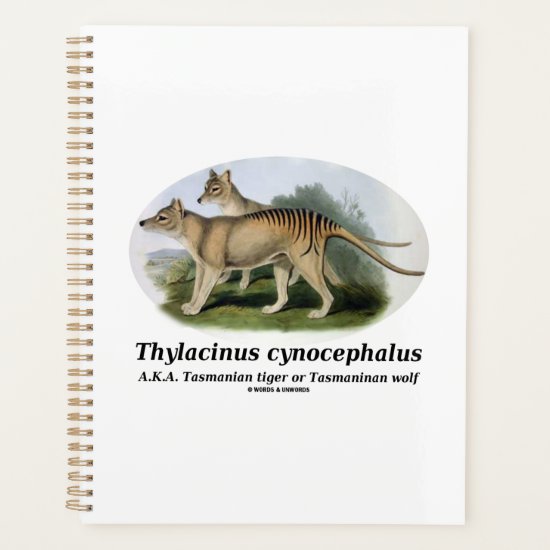 Thylacinus cynocephalus (Tasmanian tiger or wolf) Planner
