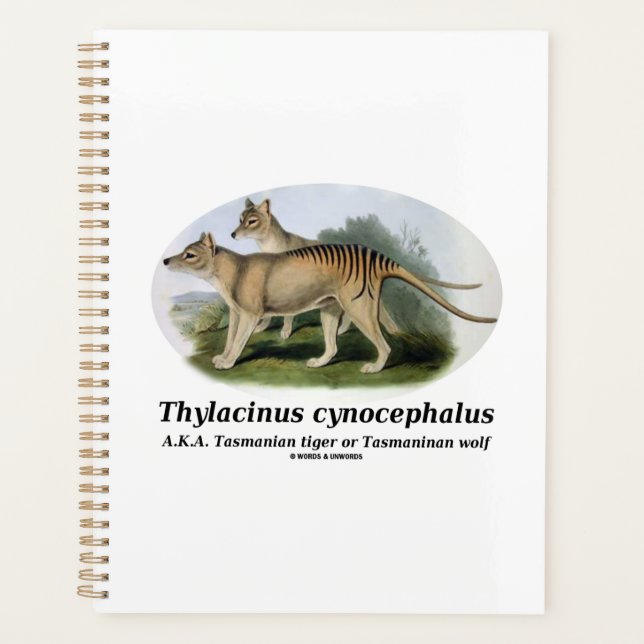 Thylacinus cynocephalus (Tasmanian tiger or wolf) Planner (Front)