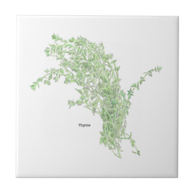 Thyme Drawing Ceramic Tile (Front)
