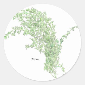 Thyme Drawing Classic Round Sticker