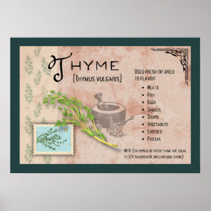 Thyme Herb Botanical Info Poster
