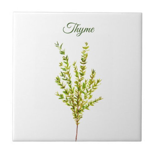 Thyme Herb Greenery Kitchen Culinary Green Plant Ceramic Tile