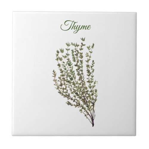 Thyme Herb Greenery Kitchen Culinary Green Plant  Ceramic Tile