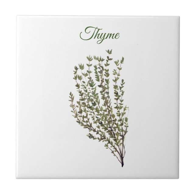 Thyme Herb Greenery Kitchen Culinary Green Plant  Ceramic Tile (Front)