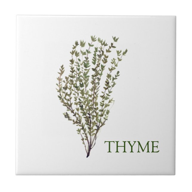 Thyme Herb Greenery Kitchen Culinary Green Plant  Ceramic Tile (Front)