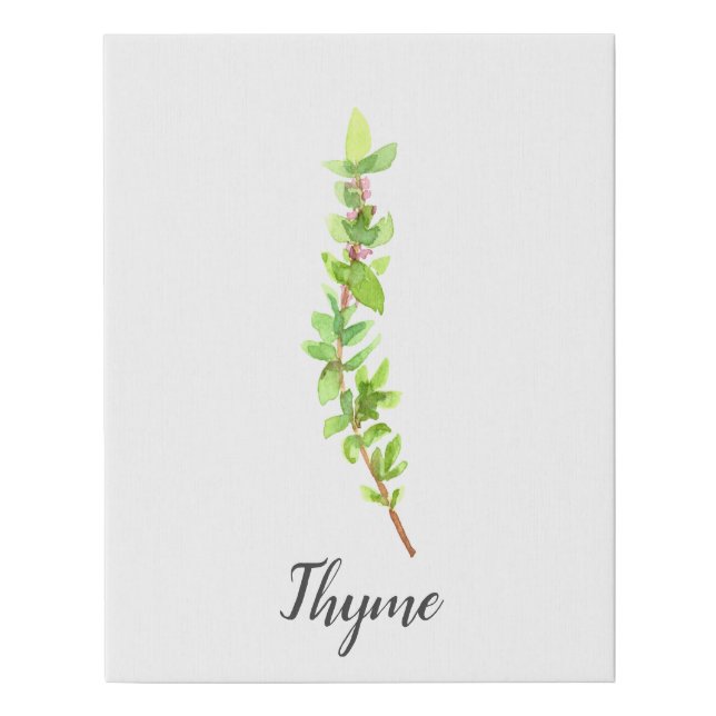 Thyme Herb Watercolor Illustration Faux Canvas Print (Front)