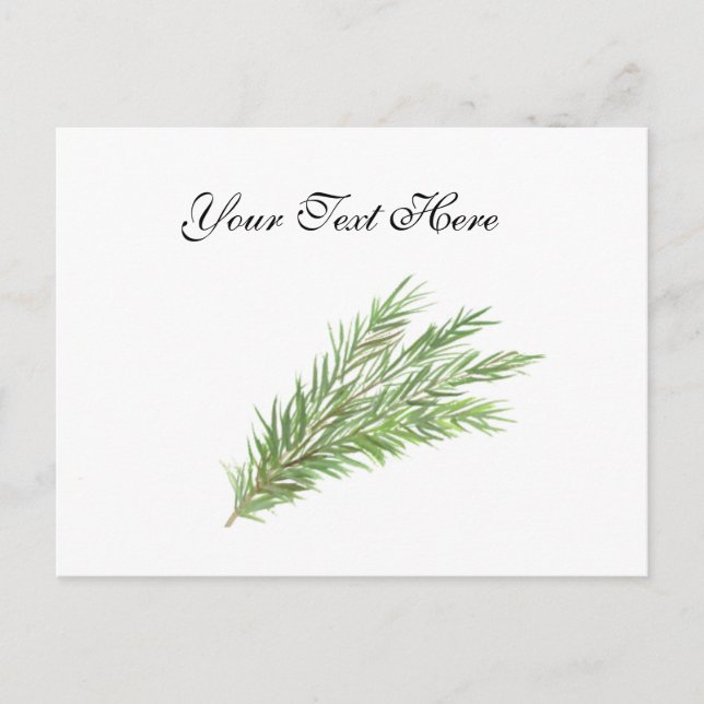 Thyme herbs botanical Greenery watercolor Kitchen  Postcard (Front)