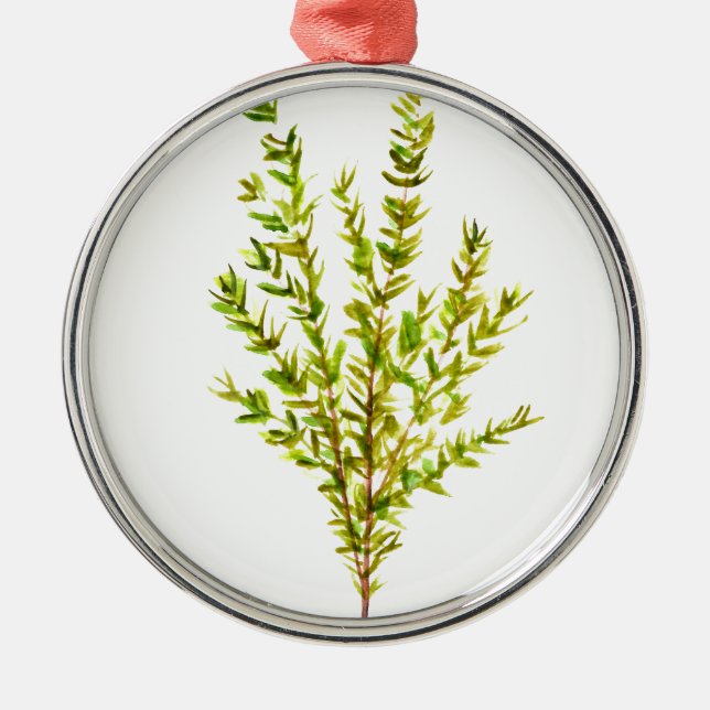 Thyme herbs Botanical herb Metal Ornament (Front)