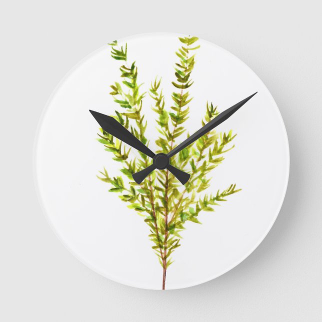 Thyme herbs Botanical herb Round Clock (Front)