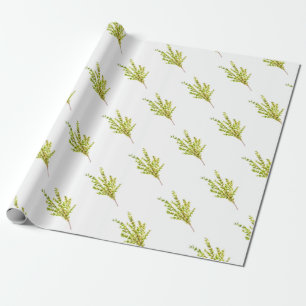 Thyme herbs Botanical herb watercolor kitchen Wrapping Paper