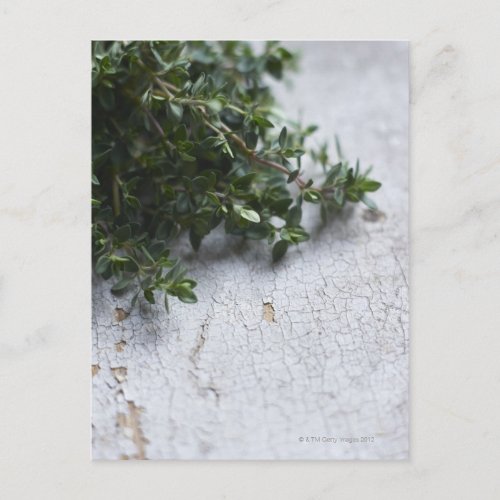 Thyme on old wooden table postcard