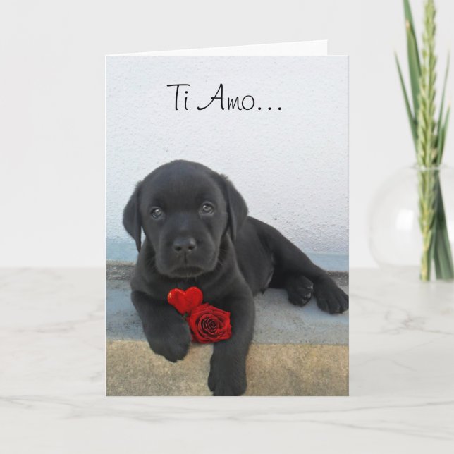 Ti Amo Labrador puppy greeting card (Front)