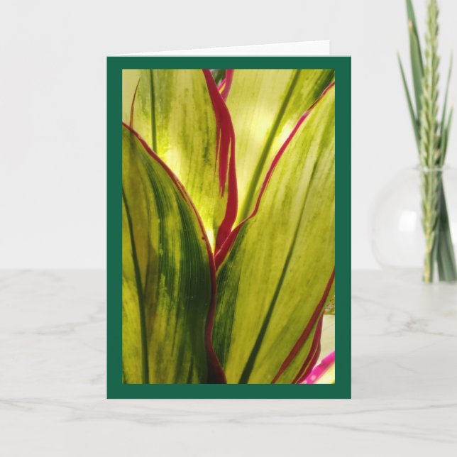 Ti Leaves,  blank card (Front)