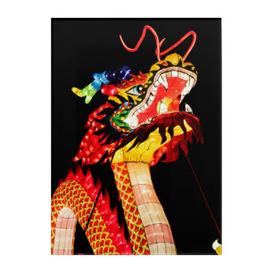 Tianlong Dragon Acrylic Print