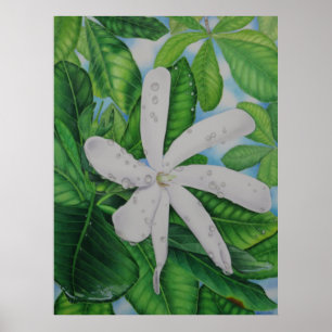 Tiare Tahiti Poster