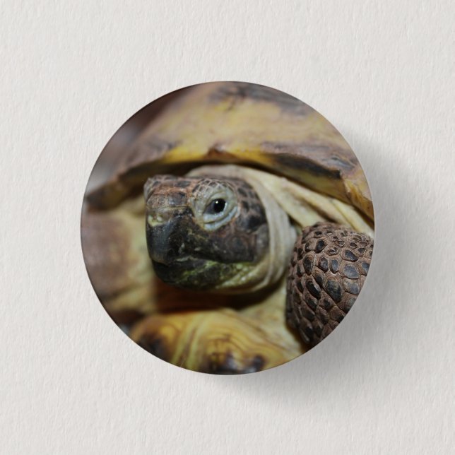 Tibbs Button (Front)